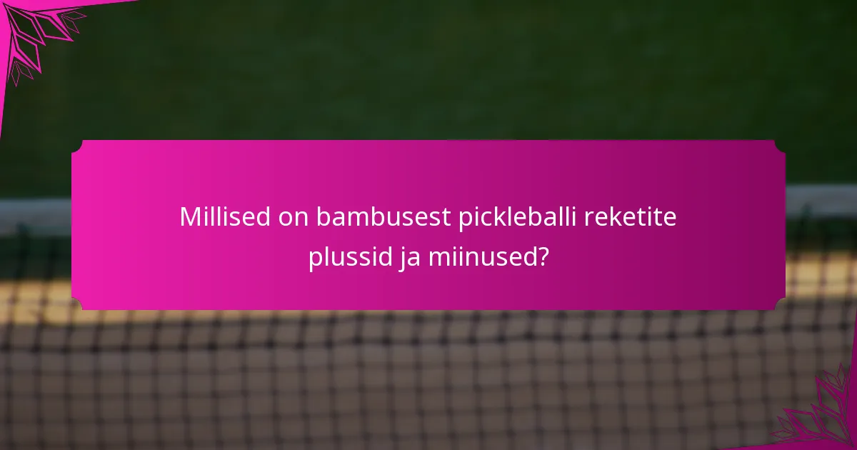 Millised on bambusest pickleballi reketite plussid ja miinused?