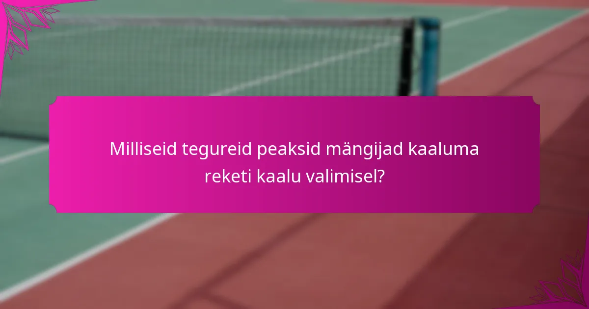 Milliseid tegureid peaksid mängijad kaaluma reketi kaalu valimisel?